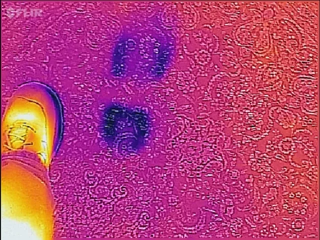 Evaluating Thermal Imaging for Temperature Test